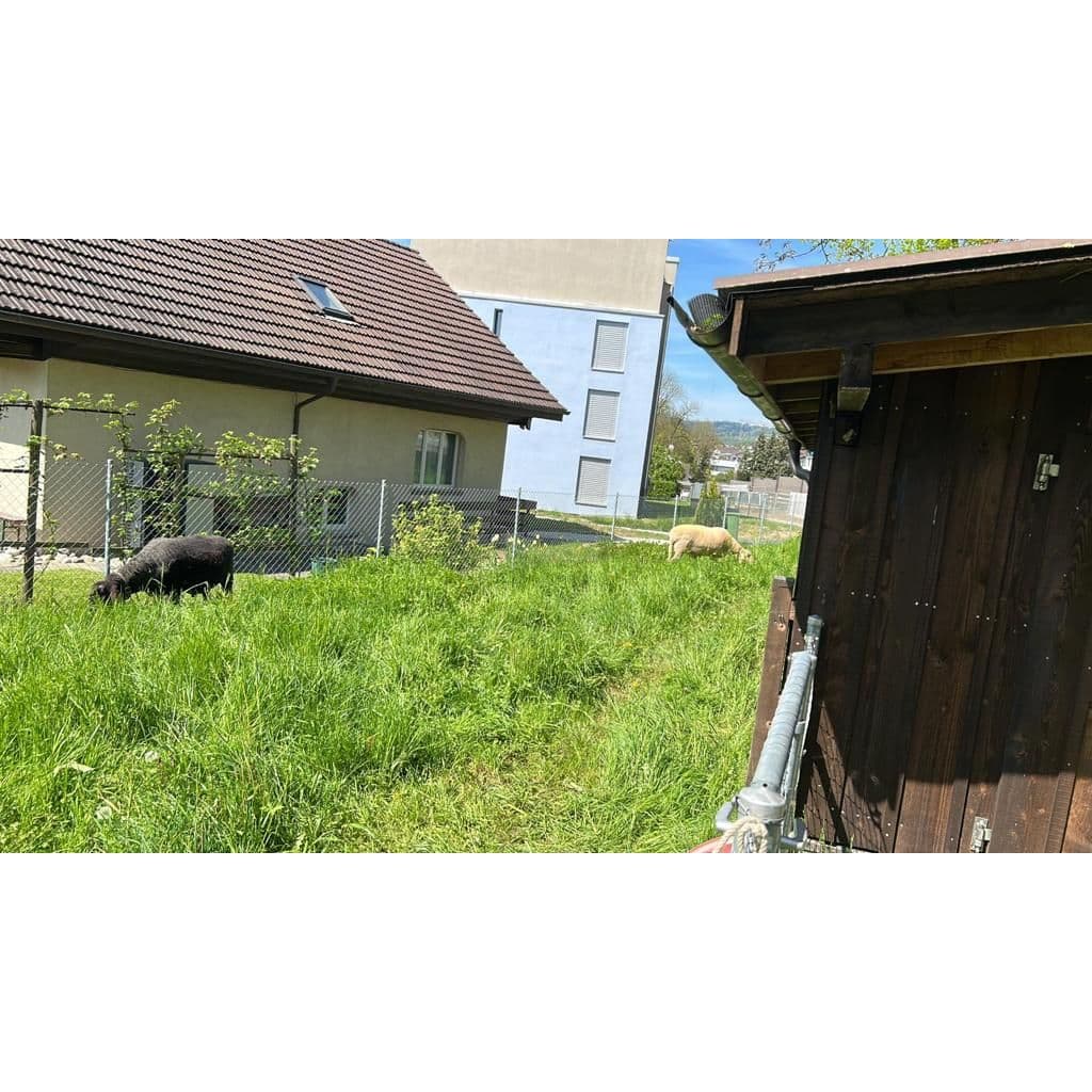 Galeriebild
